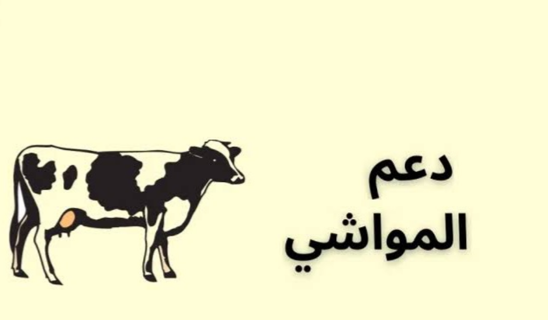 استعلام عن دعم المواشي في السعودية 5 استعلام عن دعم المواشي في السعودية