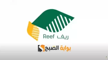 دعم ريف 1