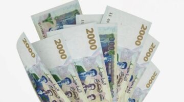 رابط تجديد منحة البطالة كل 6 اشهر
