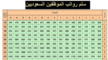 سلم رواتب الموظفين المدنيين 1