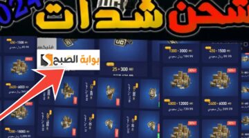 شحن شدات ببجي 1