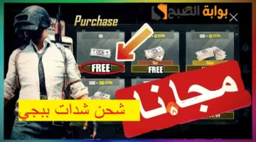 شحن شدات ببجي