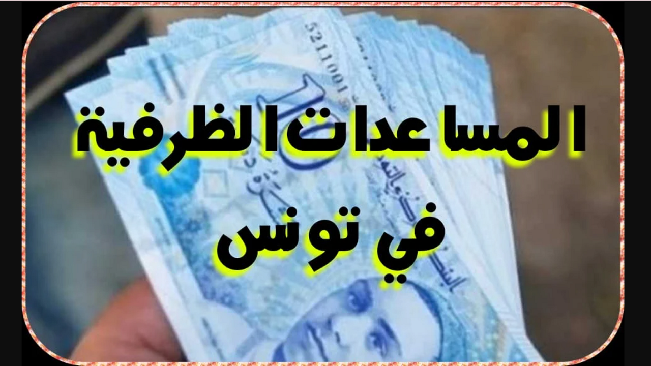 "إلحق جهز الوثائق".. شروط الحصول على المساعدات الظرفية 2024 في تونس عبر social.gov.tn 5 “إلحق جهز الوثائق”.. شروط الحصول على المساعدات الظرفية 2024 في تونس عبر social.gov.tn