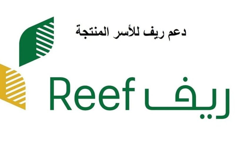 سجل الآن.. رابط وخطوات التقديم على دعم ريف السعودية 1445هـ والشروط اللازمة للحصول عليه 5 سجل الآن.. رابط وخطوات التقديم على دعم ريف السعودية 1445هـ والشروط اللازمة للحصول عليه