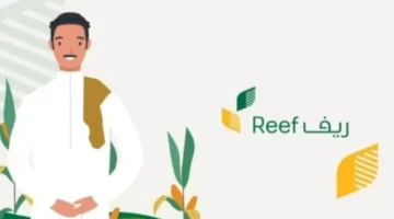 شروط الدعم الريفي للنساء 1445 هل يشمل ربات البيوت وكم فلوس الدعم الريفي؟ 780x470 1