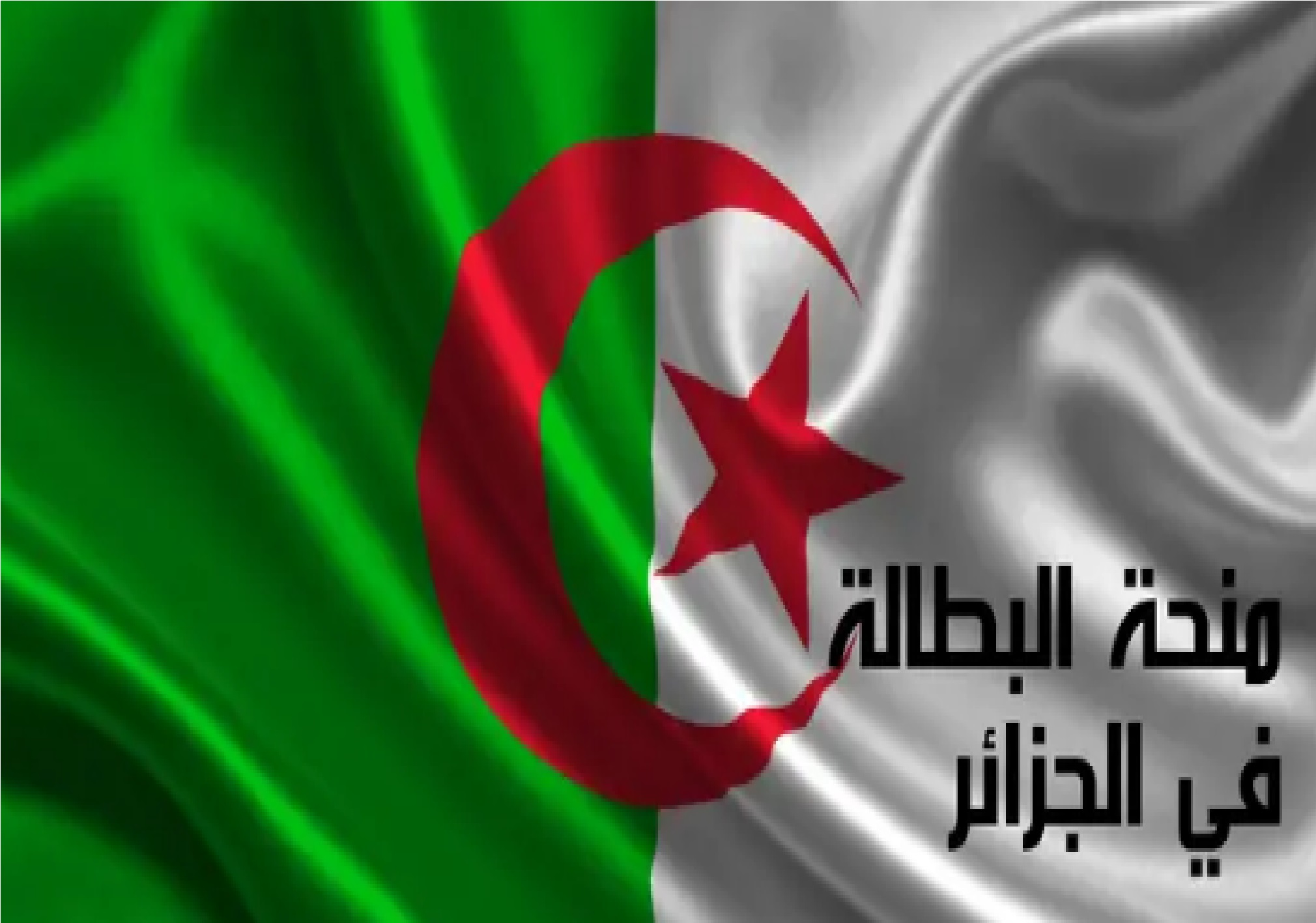 حقيقة زيادة منحة البطالة 2024 في الجزائر ورابط التسجيل عبر minha.anem.dz 5 حقيقة زيادة منحة البطالة 2024 في الجزائر ورابط التسجيل عبر minha.anem.dz