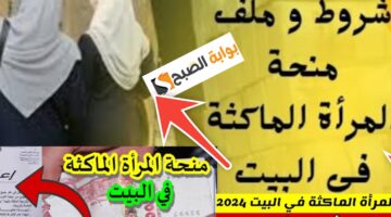 شروط منحة الماكثة في البيت
