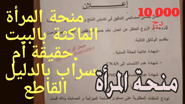 شروط منحة المرأة الماكثة بالبيت بالجزائر 2024 خطوات التسجيل بشكل إلكتروني عبر الوكالة الوطنية للتشغيل