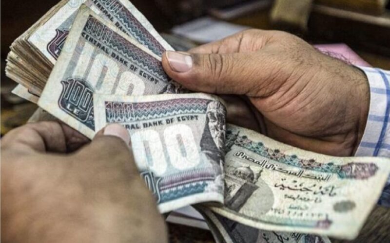 تعرف على تفاصيل زيارة الحد الادني للاجور ورفع رواتب الموظفين والمعاشات في مصر 5 تعرف على تفاصيل زيارة الحد الادني للاجور ورفع رواتب الموظفين والمعاشات في مصر