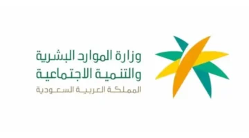 ضمان 1