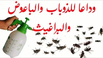 طريقة سريعة للتخلص من الذباب والنمل والناموس والصراصير بدون أي مواد كيميائية