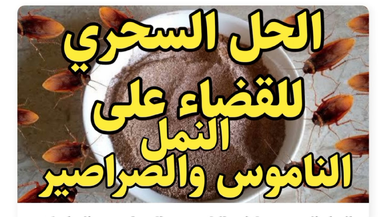 طريقة مذهله وفعالة للتخلص من النمل والناموس والصراصير وبدون أي مواد كيميائية
