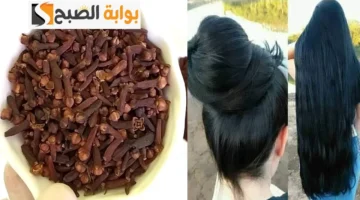 طريقة استعمال القرنفل مع الشامبو للشعر 1