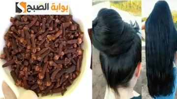 مكون سري ضعيه على الشامبو الآن لن يتوقف شعرك عن النمو مع زيادة الطول 7 سم في أسبوعين وبس