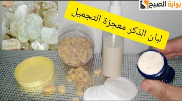 طريقة تحضير وصفة كريم لبان الذكر
