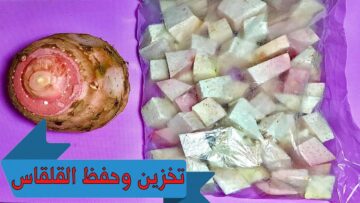 بأسرار التجار.. طريقة تخزين القلقاس في الفريزر لأطول فترة بدون تغيير في لونه أو مذاقه خالص