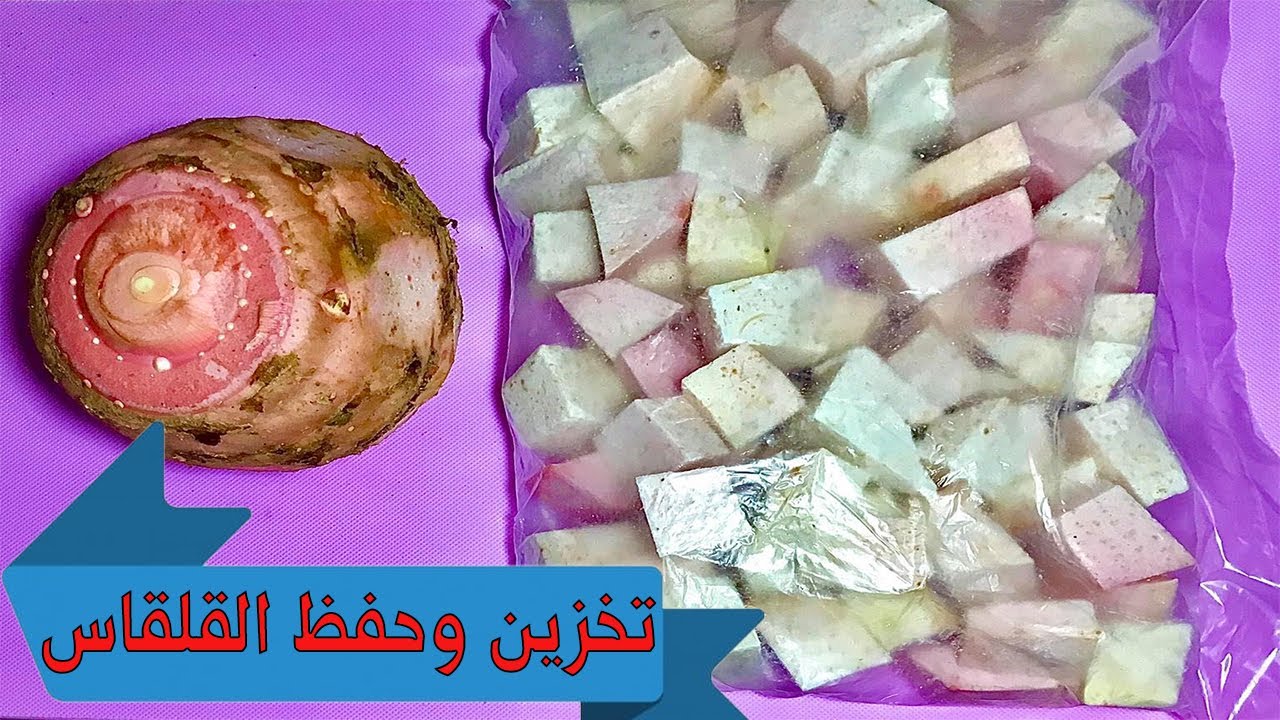 بأسرار التجار.. طريقة تخزين القلقاس في الفريزر لأطول فترة بدون تغيير في لونه أو مذاقه خالص 5 بأسرار التجار.. طريقة تخزين القلقاس في الفريزر لأطول فترة بدون تغيير في لونه أو مذاقه خالص