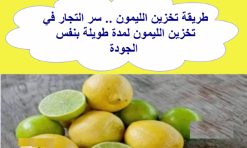 خزني الليمون لرمضان ووفري فلوسك معلقة واحدة لحفظ الليمون بدون فريزر وتحدي