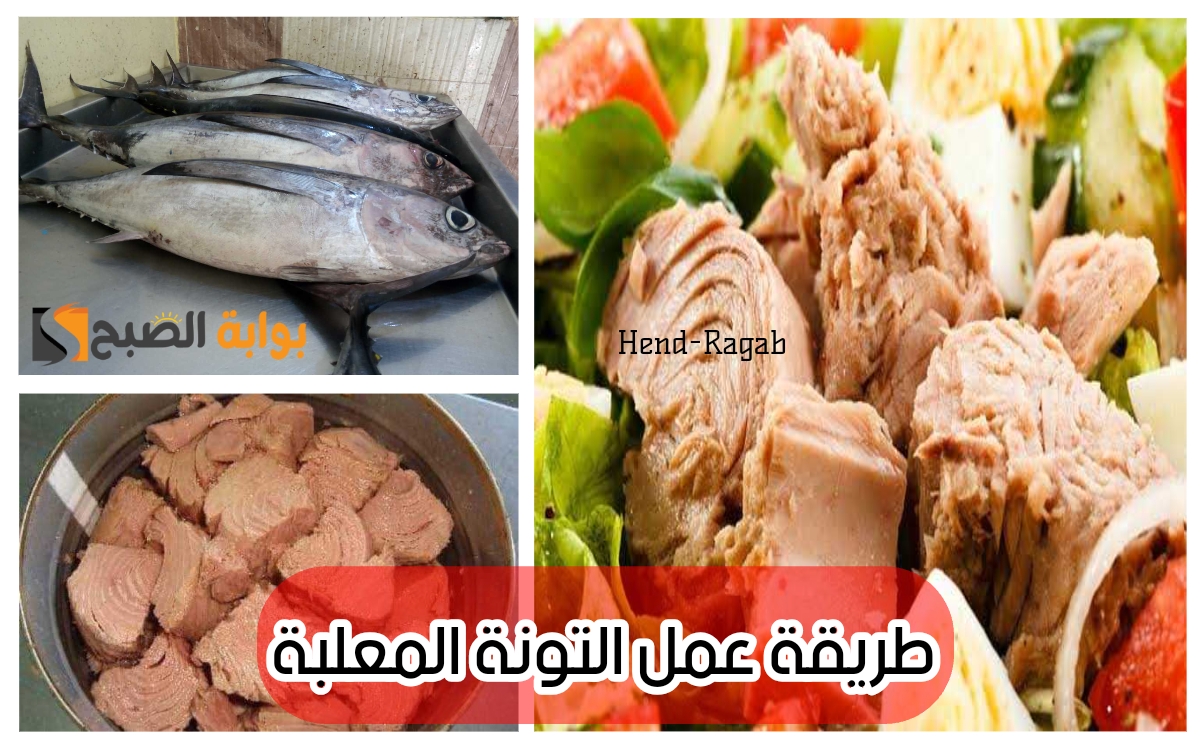 «صحية وموفرة».. طريقة عمل التونة المعلبة في البيت بأقل تكلفة وبمكونات مضمونة وآمنة .. بطعم أحلى من الجاهزة! 5 «صحية وموفرة».. طريقة عمل التونة المعلبة في البيت بأقل تكلفة وبمكونات مضمونة وآمنة .. بطعم أحلى من الجاهزة!