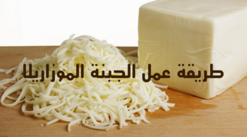 طريقة عمل الجبنة الموزاريلا