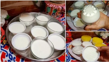رطبي على قلبك طوال شهر رمضان بألذ كوب زبادي بلدي طبيعي بمذاقات مختلفة وشهية