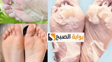 طريقة عمل كريم الأساس في البيت 2