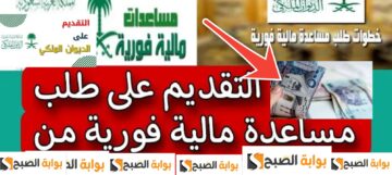 طلب مساعدة مالية من الديوان الملكي السعودي عبر الإنترنت في 6 خطوات
