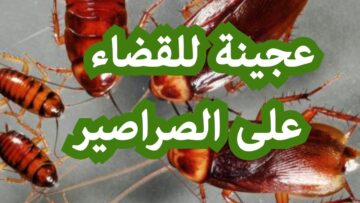 طريقة عمل عجينة الصراصير السحرية للتخلص من جميع الحشرات والنمل نهائيا