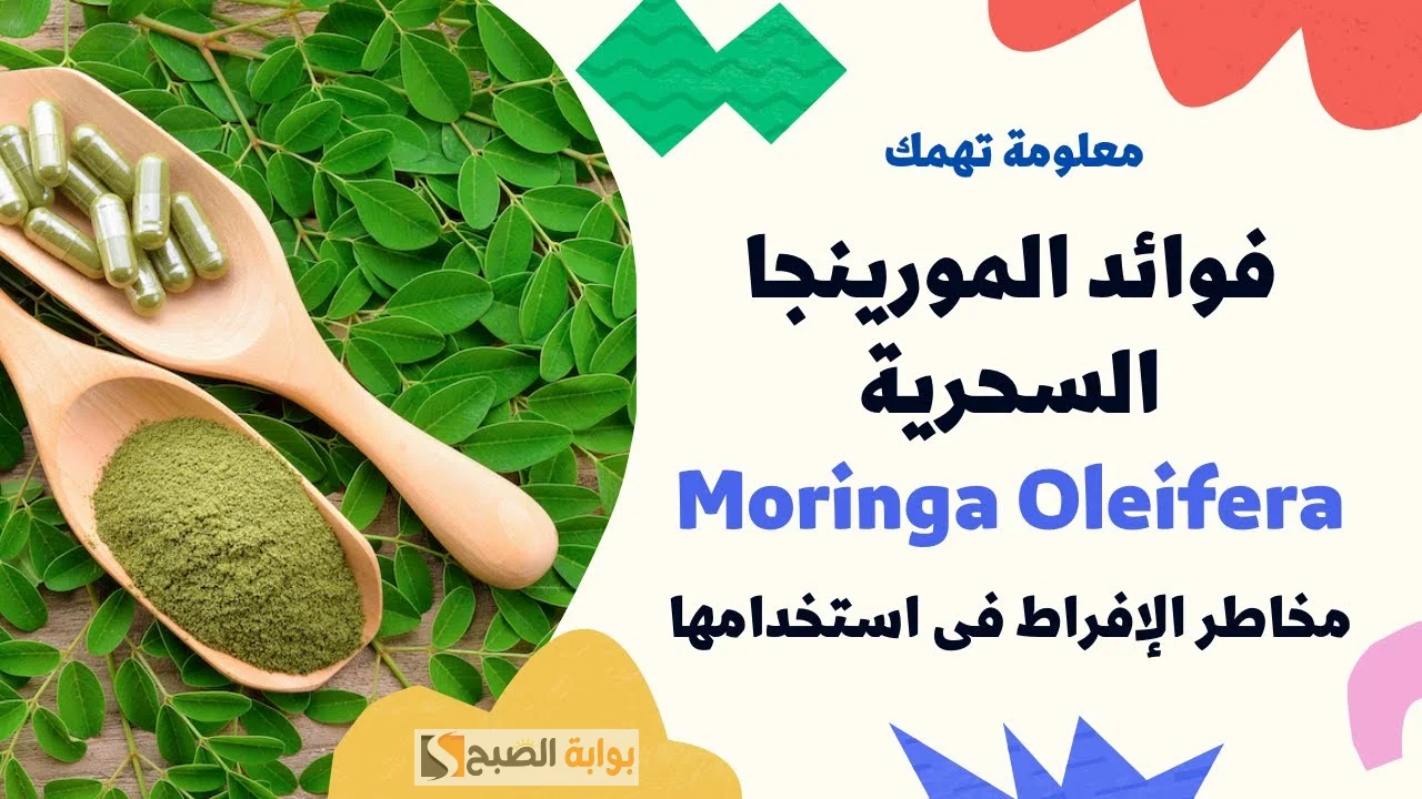 ماسك عشبة المورينجا للبشرة ضعيه كل يوم قبل النوم ولن تحتاجي إلى مستحضرات التجميل مرة أخرى 5 ماسك عشبة المورينجا للبشرة ضعيه كل يوم قبل النوم ولن تحتاجي إلى مستحضرات التجميل مرة أخرى