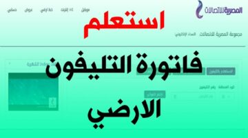 فاتورة التليفون الأرضي 1 1024x683 1