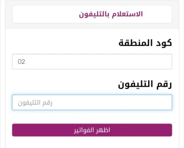 فاتورة التليفون الأرضي يناير 2024 (خطوات الاستعلام والدفع)