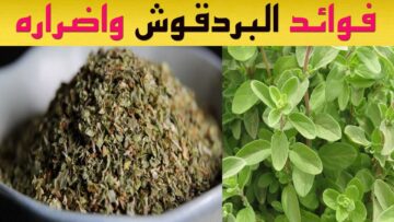 فوائد أعشاب البردقوش: عشبة طبية متعددة الفوائد