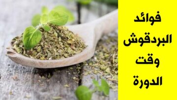 البردقوش وأهميته للنساء تعرفي علي فوائد زهور البردقوش وأهم خصائصه