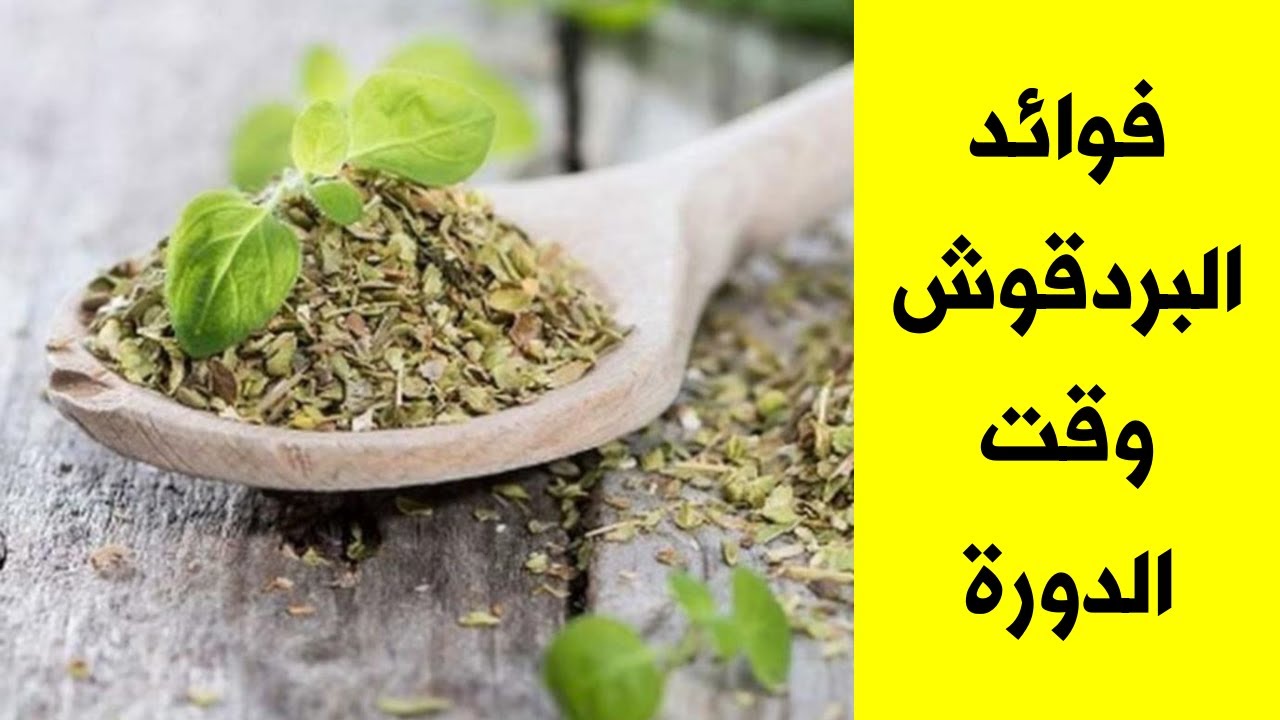 البردقوش وأهميته للنساء تعرفي علي فوائد زهور البردقوش وأهم خصائصه