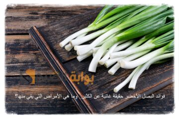 فوائد البصل الأخضر حقيقة غائبة عن الكثير.. وما هي الأمراض التي يقي منها؟
