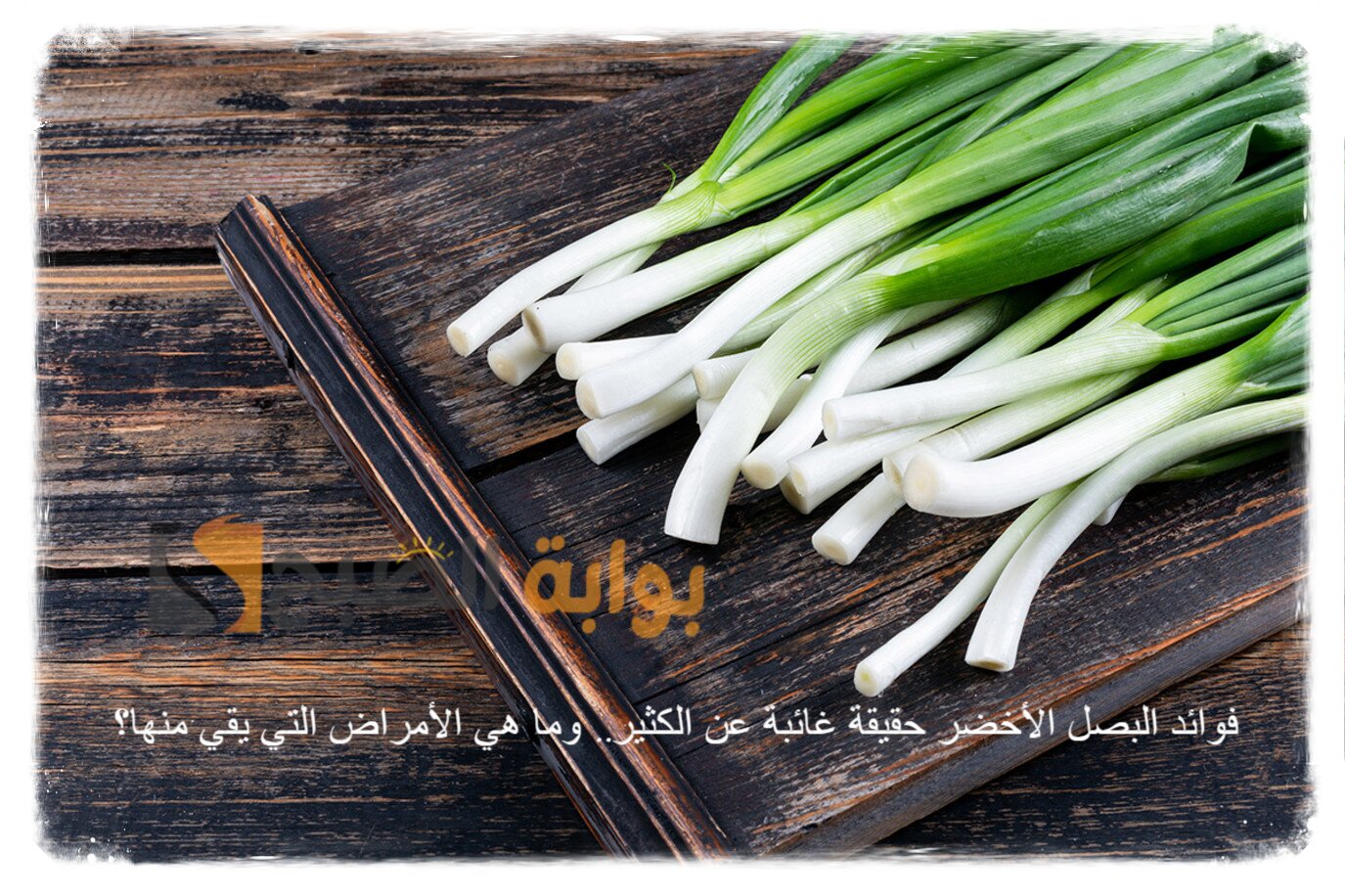 فوائد البصل الأخضر حقيقة غائبة عن الكثير.. وما هي الأمراض التي يقي منها؟ 5 فوائد البصل الأخضر حقيقة غائبة عن الكثير.. وما هي الأمراض التي يقي منها؟