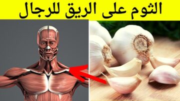 جربها الآن تناول الثوم على معدة فارغة لمدة 7 أيام فقط تعطيك الصحة والنشاط طول اليوم