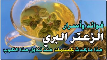 فوائد وأسرار الزعتر البري الصحية خاصة في فصل الشتاء زود مناعتك واشرب الزعتر البري