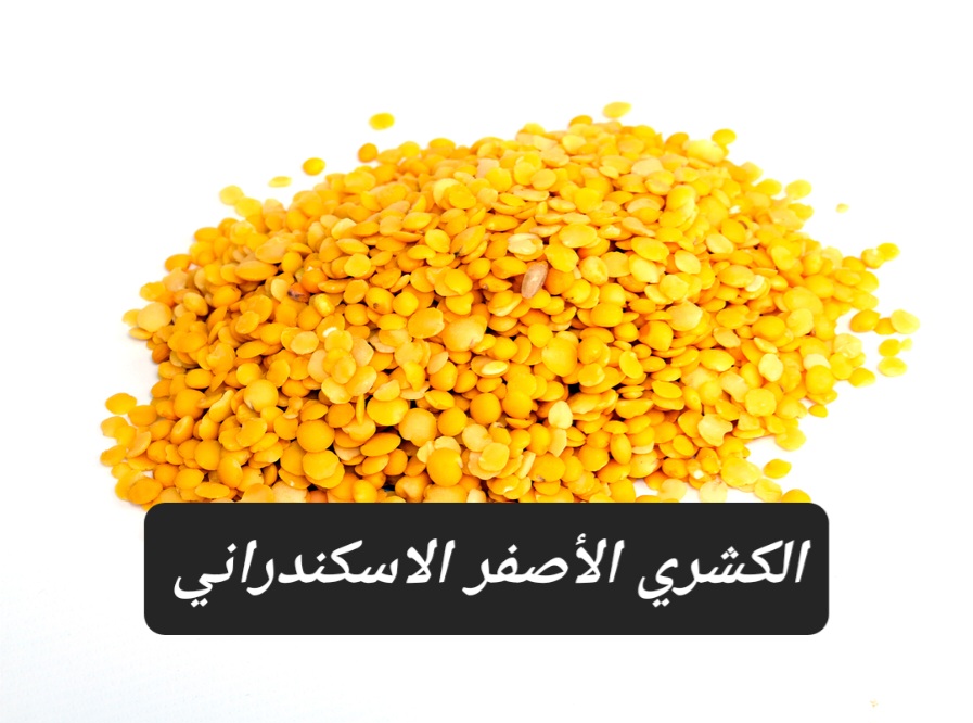 الكشري الأصفر الاسكندراني .. تعرف على الطريقة الصحيحة لتحضيره وطريقة عمل الصلصة والدقة 5 الكشري الأصفر الاسكندراني .. تعرف على الطريقة الصحيحة لتحضيره وطريقة عمل الصلصة والدقة