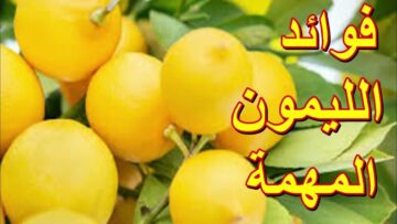 فوائد الليمون الذهبية لجسم الإنسان للبشرة والجهاز المناعي والصحة العامة