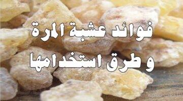 فوائد المرة على الريق