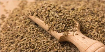 فوائد اليانسون الصحية اجعله مشروبك اليومي للوقاية من الأمراض