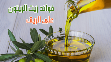تناول زيت الزيتون على الريق وبعد 5 أيام ولاحظ الفرق في صحتك