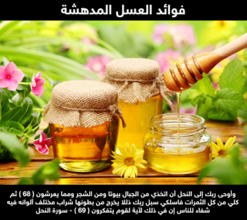 فوائد عسل النحل في فصل الشتاء معلقة كل يوم وانسي البرد والانفلوانزا