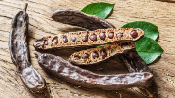 أهمية تناول الخروب في شهر رمضان بالفطار والسحور