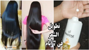 قناع زيت جوز الهند وعشبة القراص للشعر معجزة حقيقية تجعل شعرك ينمو كالمجمون بدون توقف “جربيها الآن”