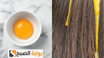 طريقة عمل كيراتين البيض وزيت الزيتون لفرد الشعر المجعد والخشن بمكونات موجودة في مطبخك “هتبقى زي نجوم السينما”