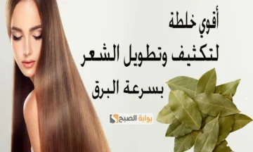 طريقة عمل سيروم ورق السدر مع الحلبة لكثافة وتطويل الشعر “هتزعللي عيون الكل من جمالك”