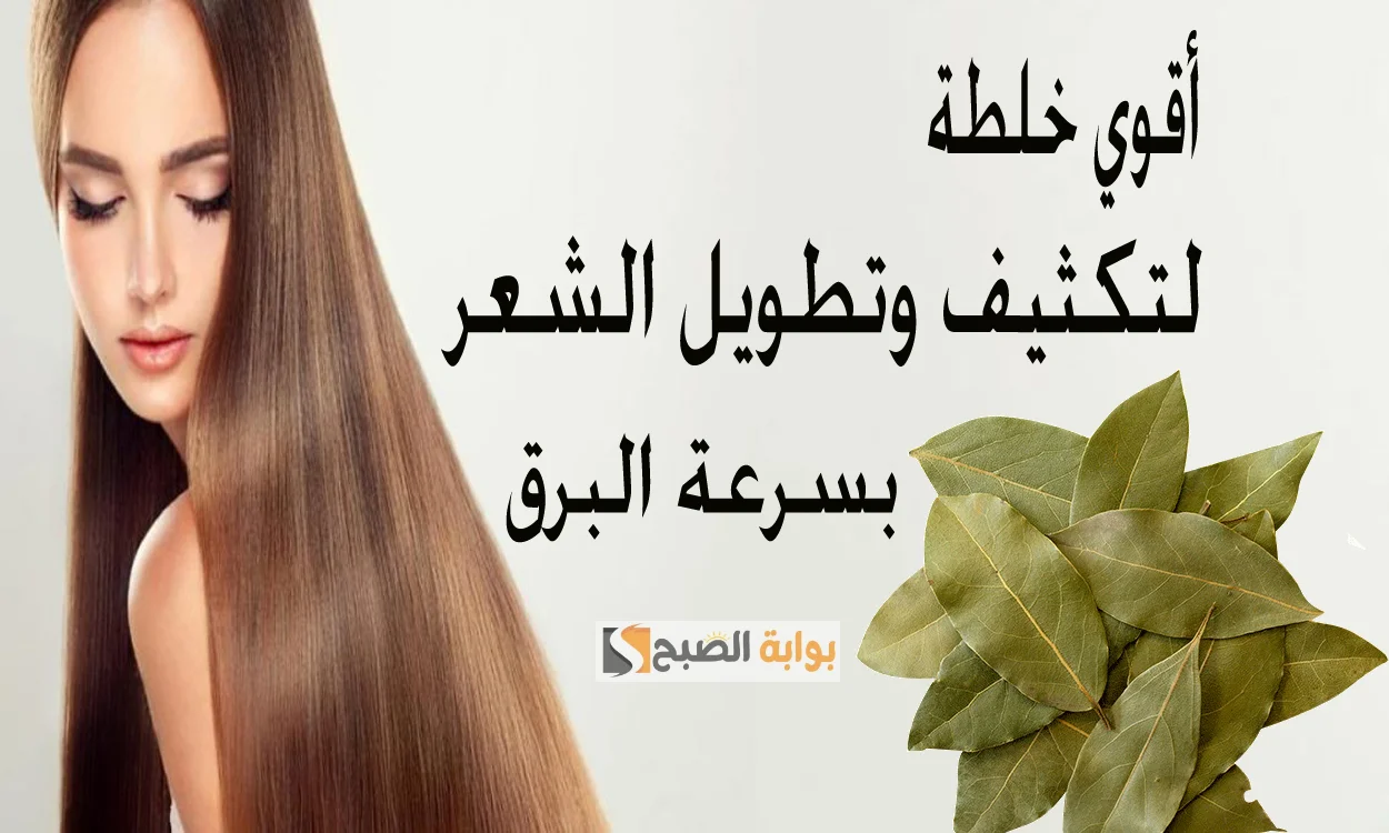 طريقة عمل سيروم ورق السدر مع الحلبة لكثافة وتطويل الشعر "هتزعللي عيون الكل من جمالك" 5 طريقة عمل سيروم ورق السدر مع الحلبة لكثافة وتطويل الشعر “هتزعللي عيون الكل من جمالك”