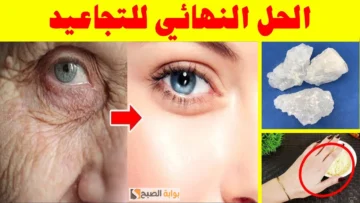 لو عاوزة ترجعي للعشرين جبتلكم الحل كريم الكولاجين الطبيعي حضريه في البيت بخطوات سهلة “هكذا ستختفي التجاعيد”